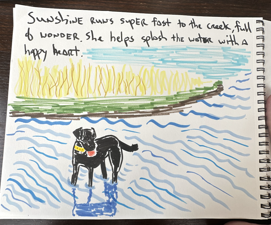 Sunshine happily playing in a creek and standing right in the middle splashing around.